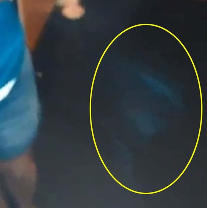 英国男子家中发现鬼影 原是已故爱犬现身?