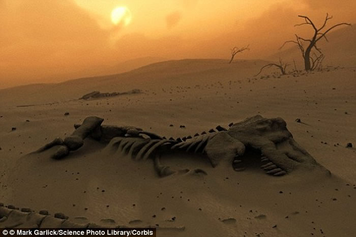 在小行星撞击引发大规模灭绝前 恐龙已出现逐渐但不可改变的衰退