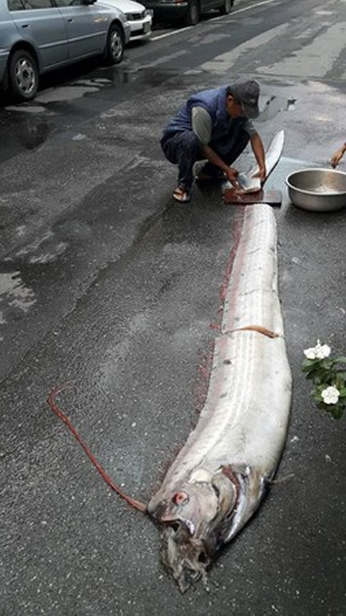 ̨���峿���������������󲶻�����㡰�ʴ��㡱