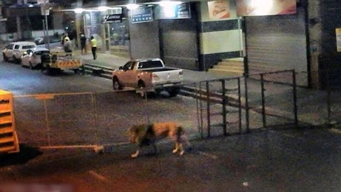 ձܱзǿҵʨӳԭϷĵӰֳ