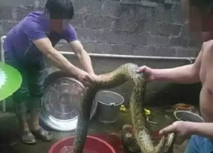 �����ֵ�ɨĹ�������� ����ɹ���������̾�