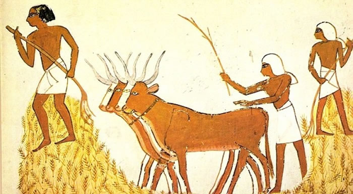 一夫一妻制在古代农业社会出现。