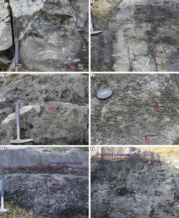 ɺ(b-f)·(a)ϸ(e-f )ʯ