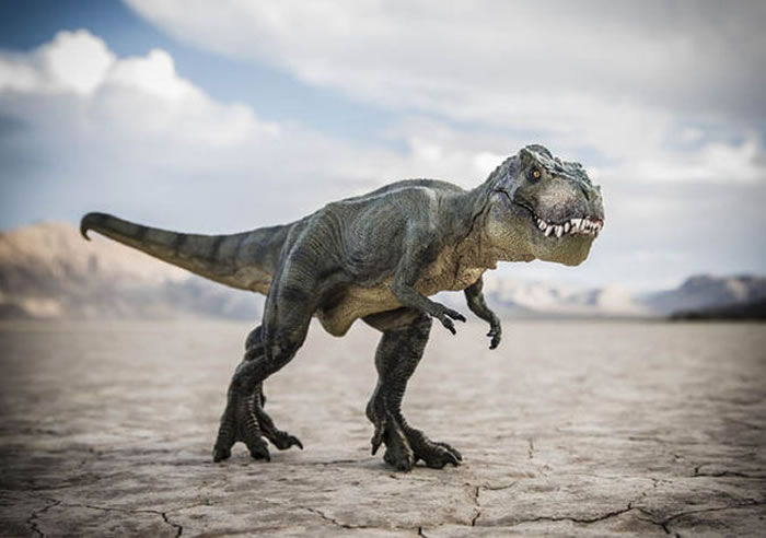 最新研究表明在小行星碰撞之前恐龙数量的下降已有5000万年时间