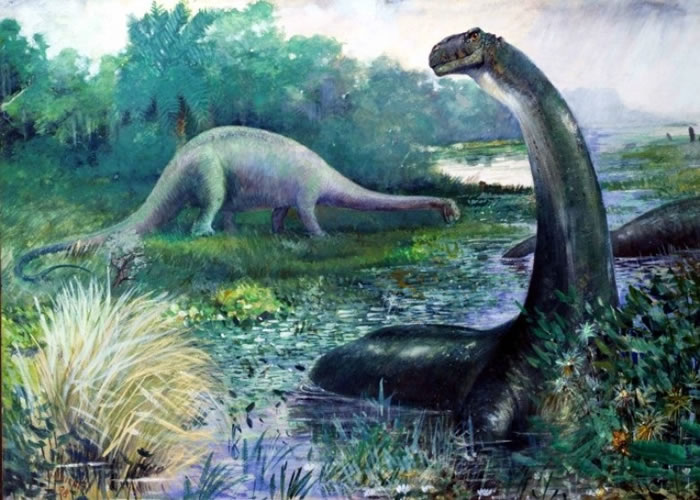 像雷龙这种草食恐龙消失速度最快。