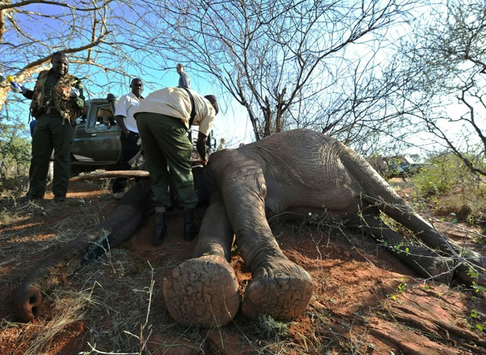 ������ǹ������˯��