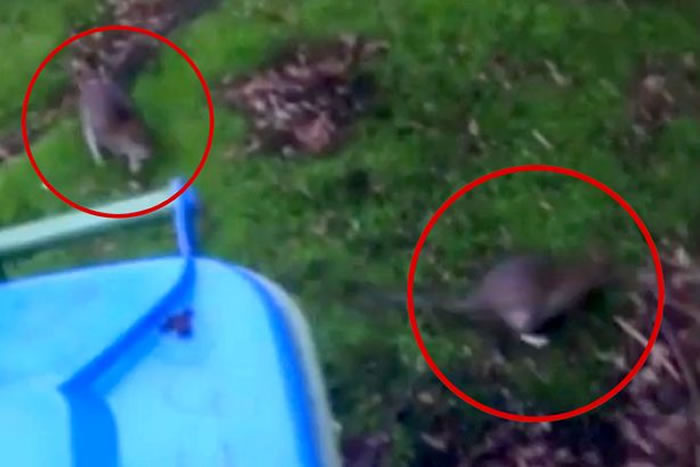 ھιʳǻ ӢϰնؼֻͥΧ