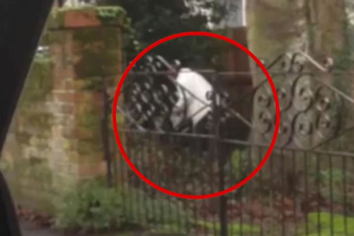 ھιʳǻ ӢϰնؼֻͥΧ