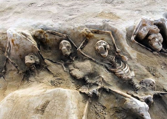 遗骸并列躺卧在乱葬岗,部分双手被铁链捆绑。