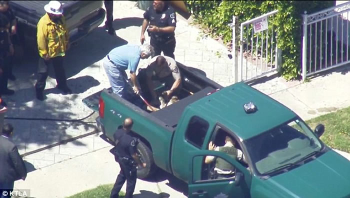 ����ɽʨ����У԰ ����׷����Сʱ���ձ���