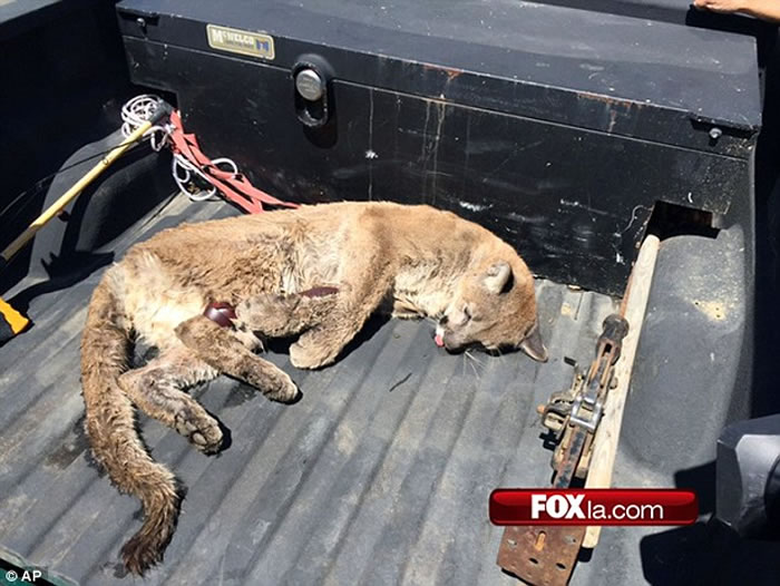 ����ɽʨ����У԰ ����׷����Сʱ���ձ���