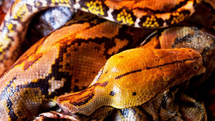 �м���ϑ�������ۡ�