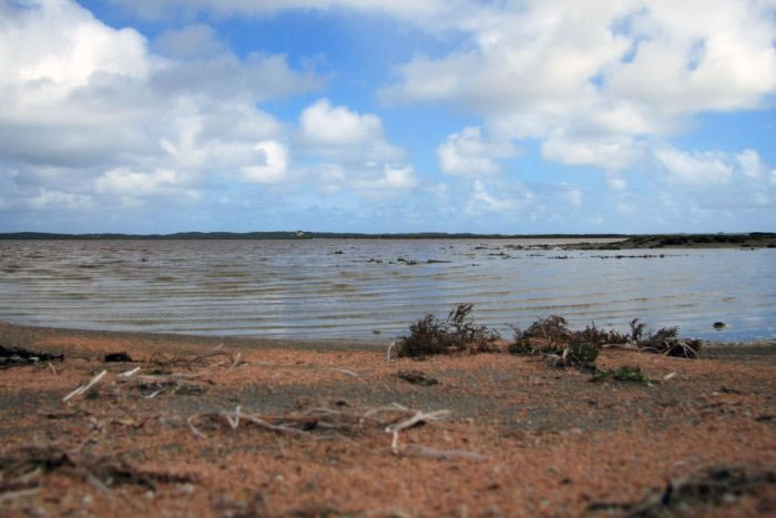 澳洲神秘乔治湖Lake George成谜:时而湖光粼粼时而干涸无水