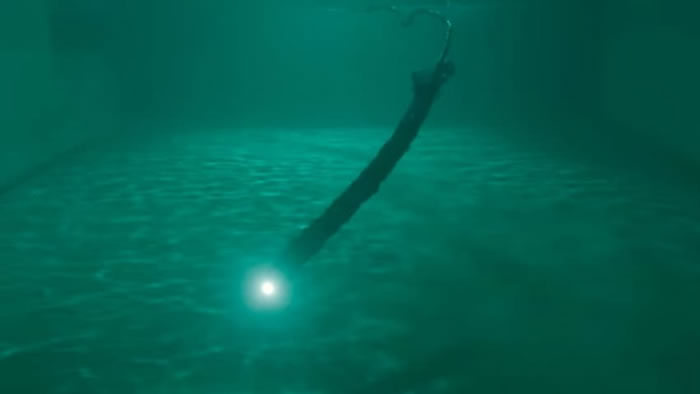 Eelume可接触一些人类难以接近的位置。