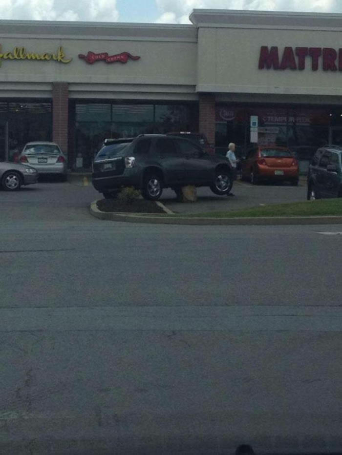 Imgur�贫������ֽ�ͨ�¹���Ƭ�����������������ʯͷ����