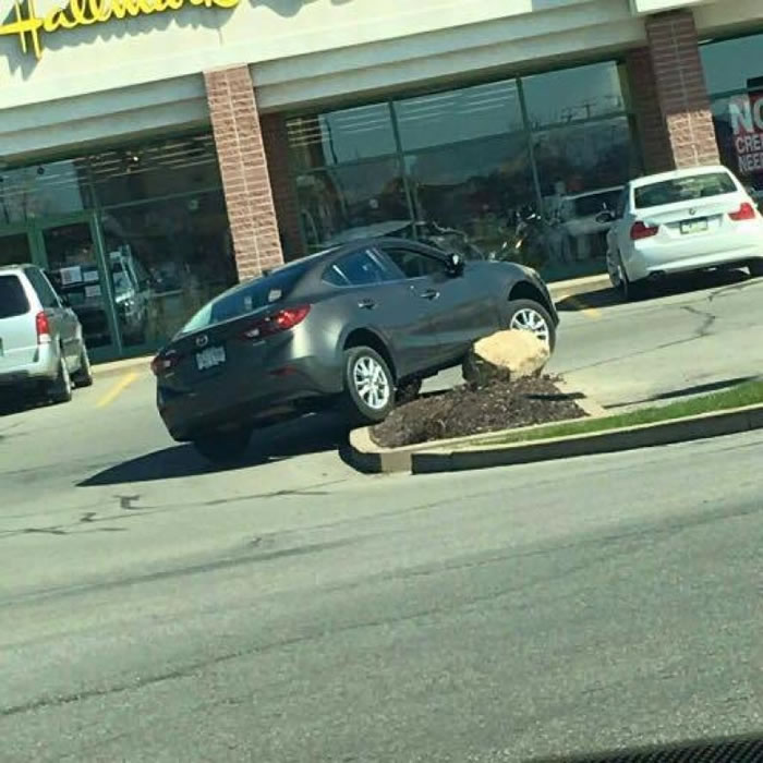 Imgur�贫������ֽ�ͨ�¹���Ƭ�����������������ʯͷ����