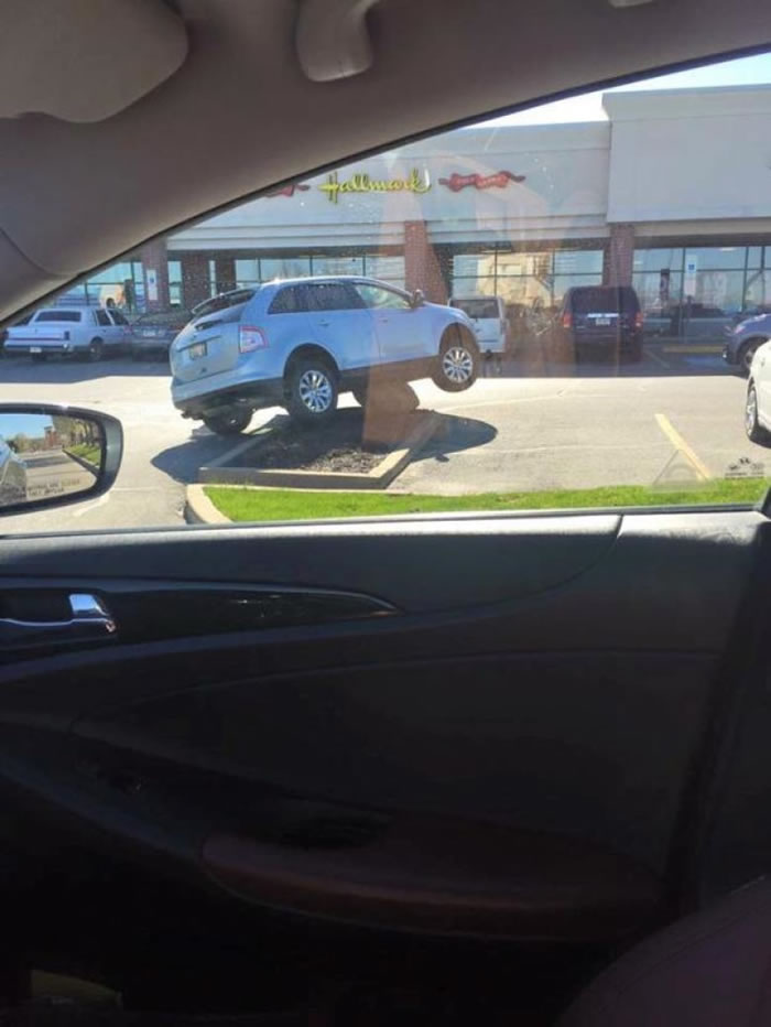 Imgur�贫������ֽ�ͨ�¹���Ƭ�����������������ʯͷ����