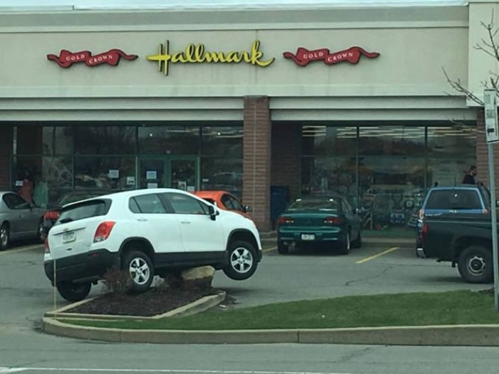 Imgur�贫������ֽ�ͨ�¹���Ƭ�����������������ʯͷ����