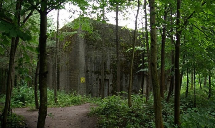 ���Ų����������ķ����ﱤ��