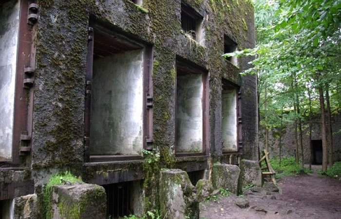 �����ﱤ�����Ӳݴ�����