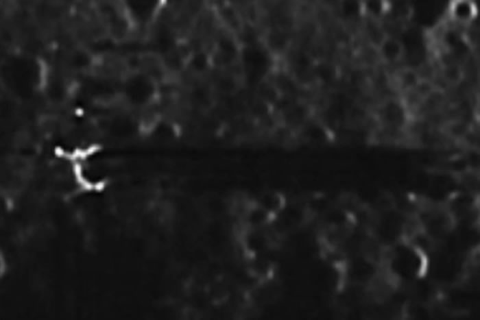 UFOڹۿͼƬʱֲɫ רҳ˻