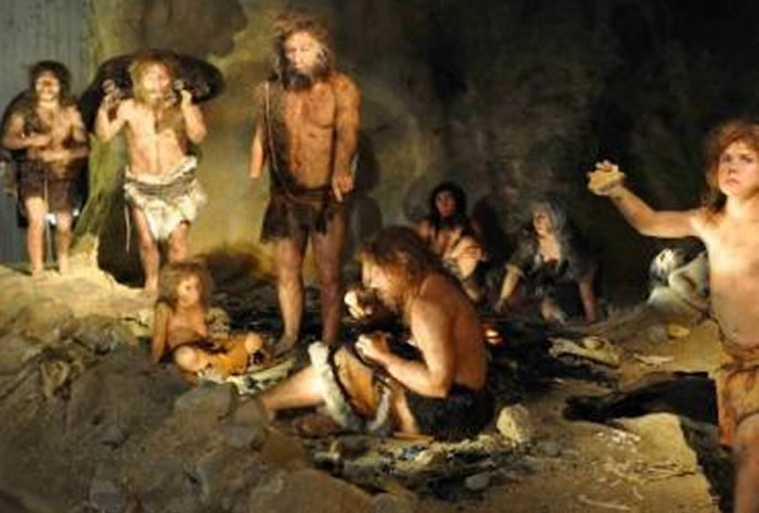 剑桥大学生物人类学系的夏洛特·胡德克罗夫特(Charlotte J. Houldcroft)等学者提出,走出非洲的智人携带的热带疾病或其他病原体导致了尼安德特人