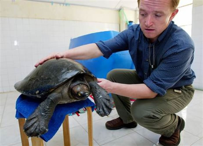 Ұ��ļ���կ�ʼҹ꣨�������ֻ꣩ʣ����10ֻ���پ���