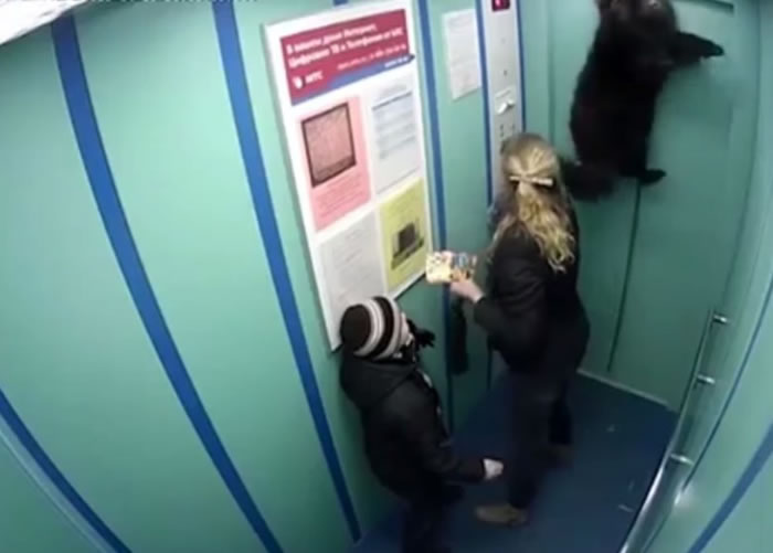 狗狗被凌空吊起,不断挣扎。