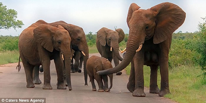 �Ϸǿ�³����ҹ�԰������׳�۵Ĵ�����龵ͷ