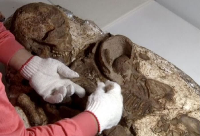 台湾考古学家在台中挖掘出4800年前的母子相拥人类遗骸