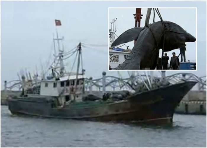 江苏启东市渔民意外捞获一条巨型姥鲨尸体(小图),随后以10多万元人民币转手出售。