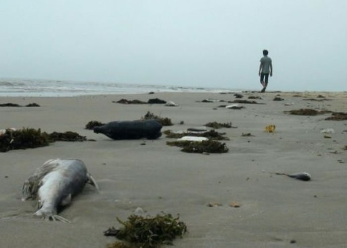 Խ���в����ִ�������������