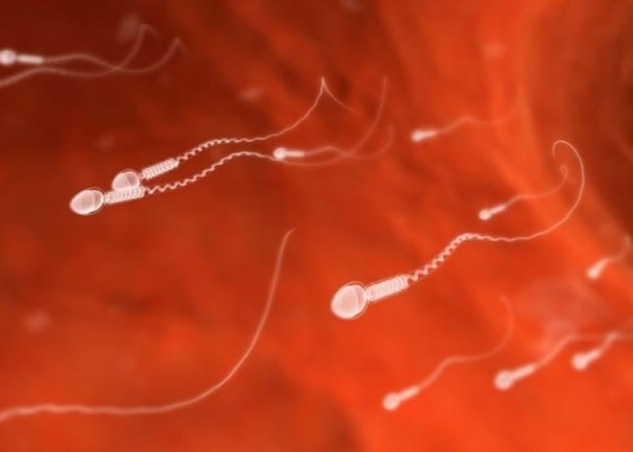 ��ѧ�ұ�ʾ�Ѿ��ɹ�����Ƥ��ϸ�����������