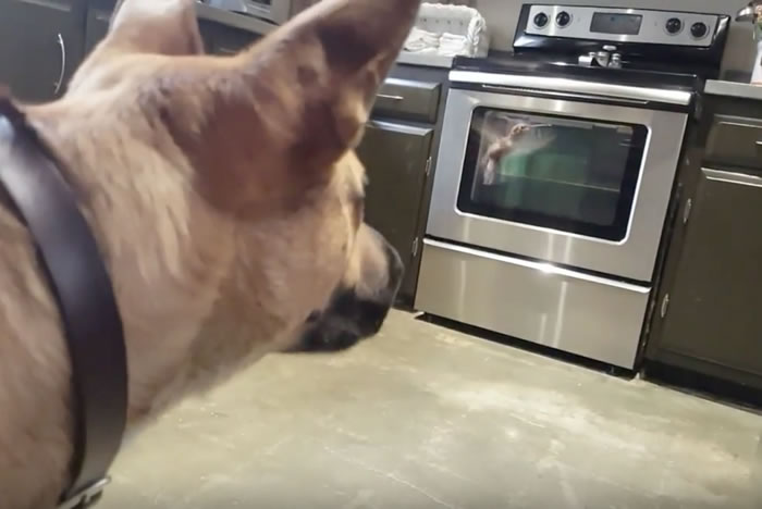 �������ֵ¹�����ȮҪ���˽�����С����Ȼؼ� ���ڳ��˺�����