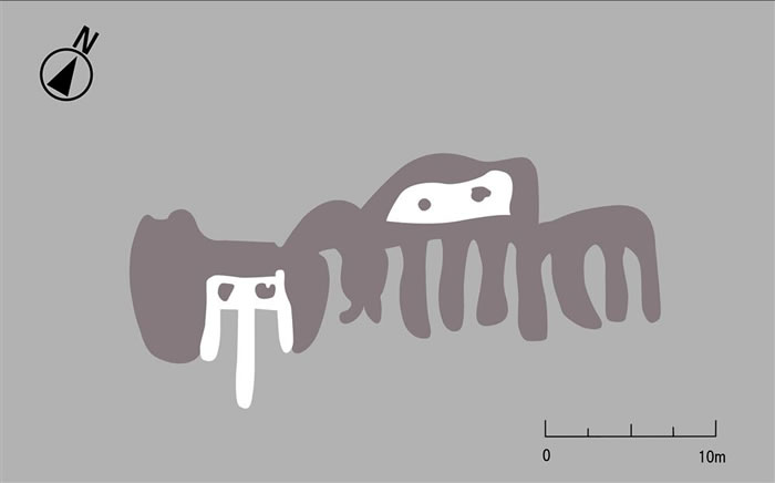 秘鲁纳斯卡线新发现:2000年前“长舌动物”神秘地画