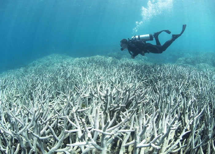 �󱤽��׻��������أ������̬ϵͳ������������ӡ�