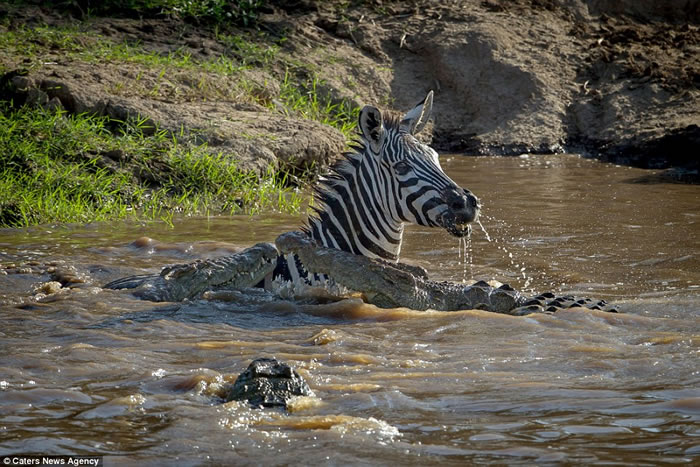 ���޿��������Ͱ������������ ������ҧ��������