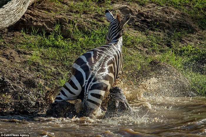 ���޿��������Ͱ������������ ������ҧ��������