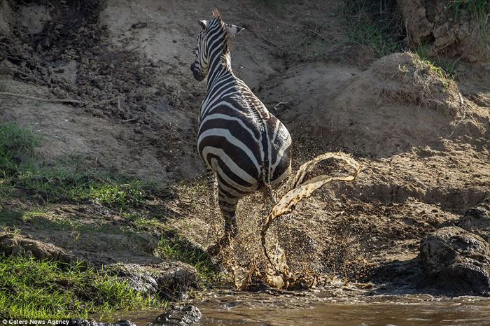 ���޿��������Ͱ������������ ������ҧ��������