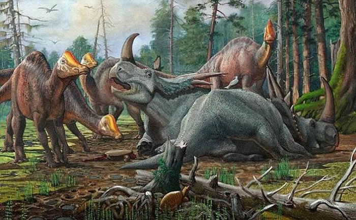 科学家最新研究指出,如果现代蜥蜴会做梦,很可能远古爬行动物恐龙也会做梦。