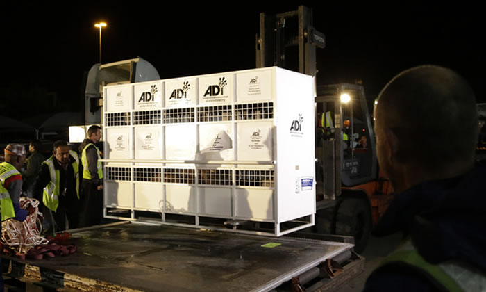 ʶЭ³͸ױȳ33ͷϷʨӿ͵Ϸ