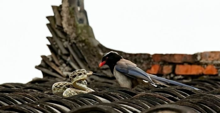 �����սһ��������