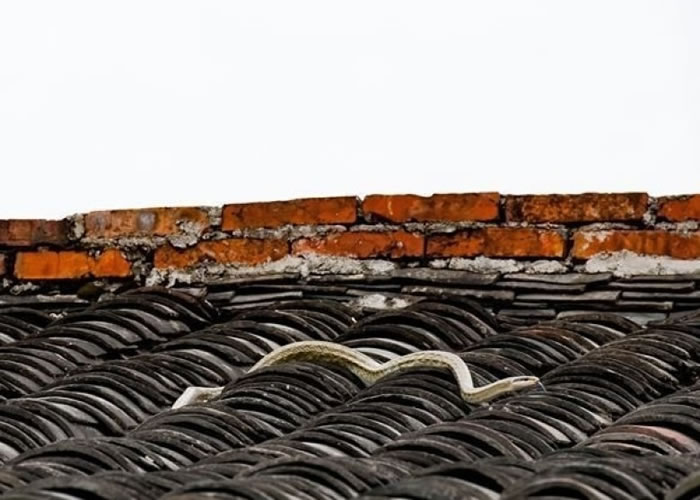 ���˾��е��������ذ�ʦ�ء�������