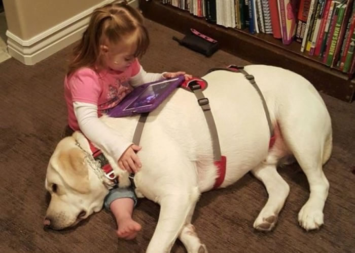 Hero��8�������Ӧ�����ϵ��쳣�����