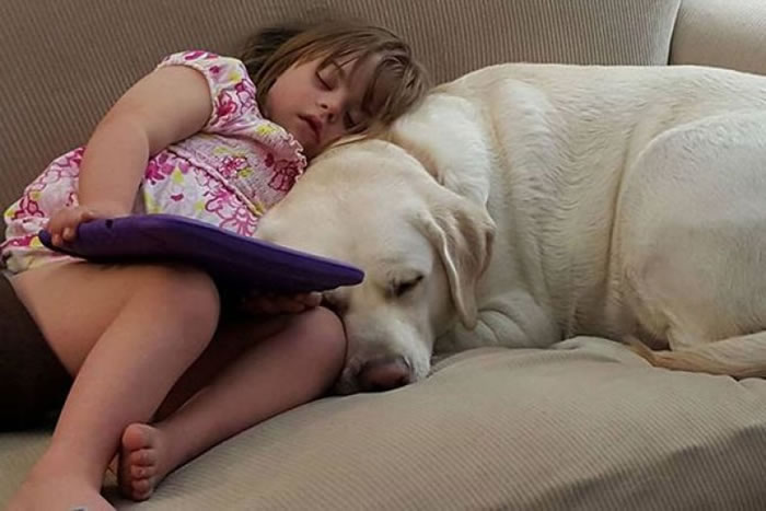 ������Hero�������á�