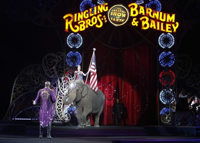 大象逐一进场。