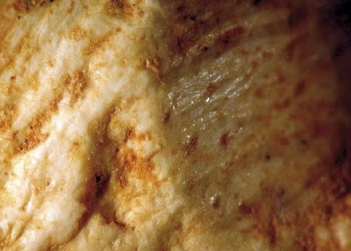 噬咬痕迹仍然可见。