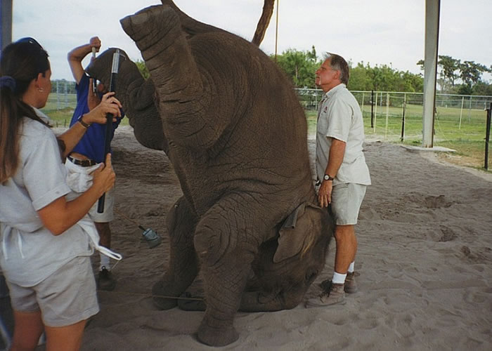 ��ѵ��Ա������̰��Դ�����