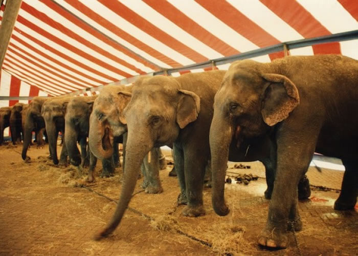 ��Щ����᳤ʱ�䱻������ס��