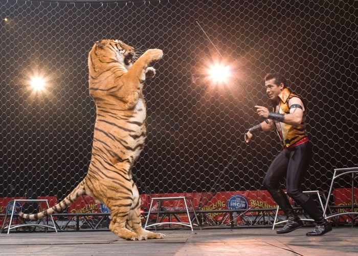 �������Ϸ���ܵ���ܡ�